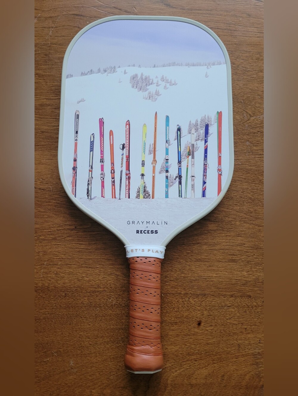 RECESS x Gray Malin Recess Pickleball Paddle – Multi Ski Graphic